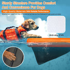 VOFiTNY Premium Inflatable Dog Pool Ramp - Sunburst Orange